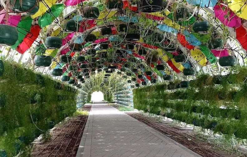 al masrah park - umbrella corridor