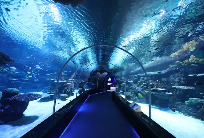 Aquarium at Hamad Port Visitors Center - popular attractions in qatar
